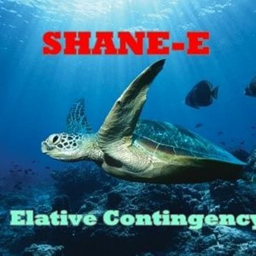 Elative Contingency